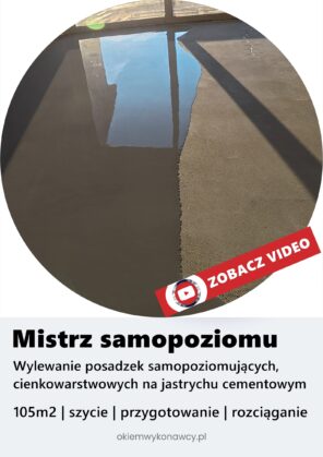 mistrz samopoziomu